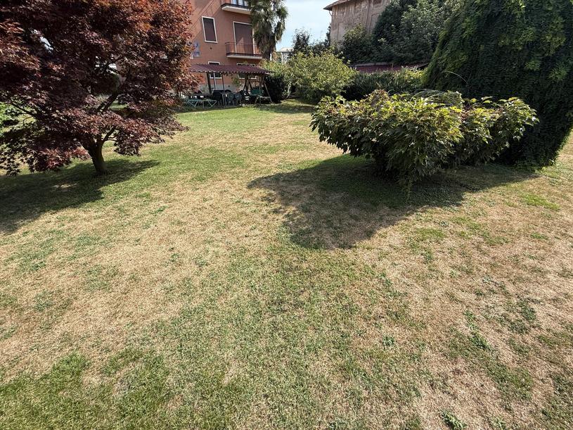  id.5268201