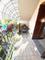  id.5309509